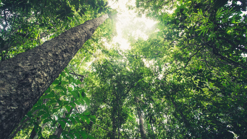 Artificial intelligence use poses an ESG headache for global financial industry