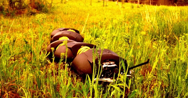 robotic-centipedes-weeding