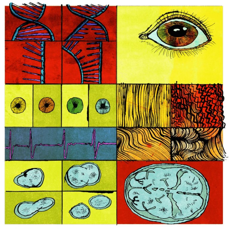 Screenshot 2025-11-11 at 18-28-32 nkwhtlsvhz999kg2sa81